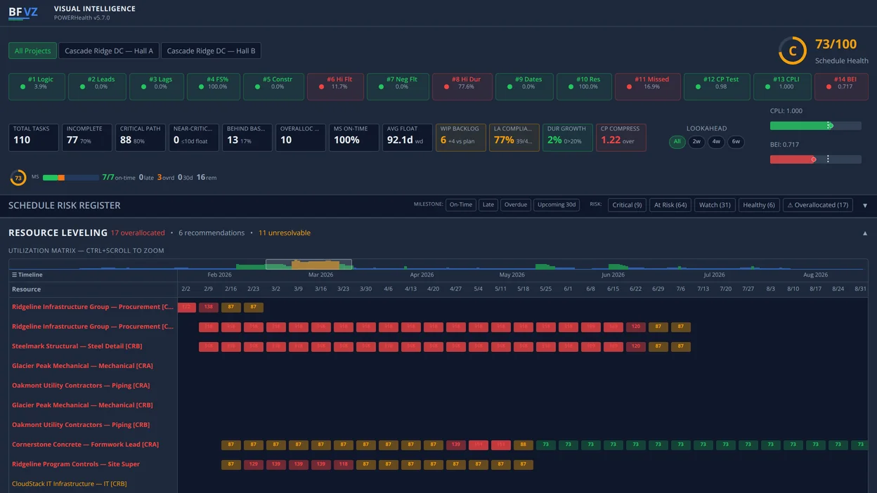 BFVZ POWERHealth: the resource utilization matrix by period with overallocations highlighted